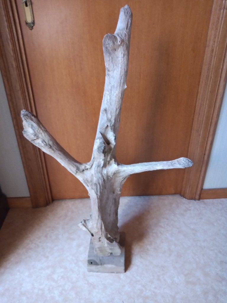 arbre perchoir pour grand perroquet, Dieren en Toebehoren, Vogels | Toebehoren, Ophalen
