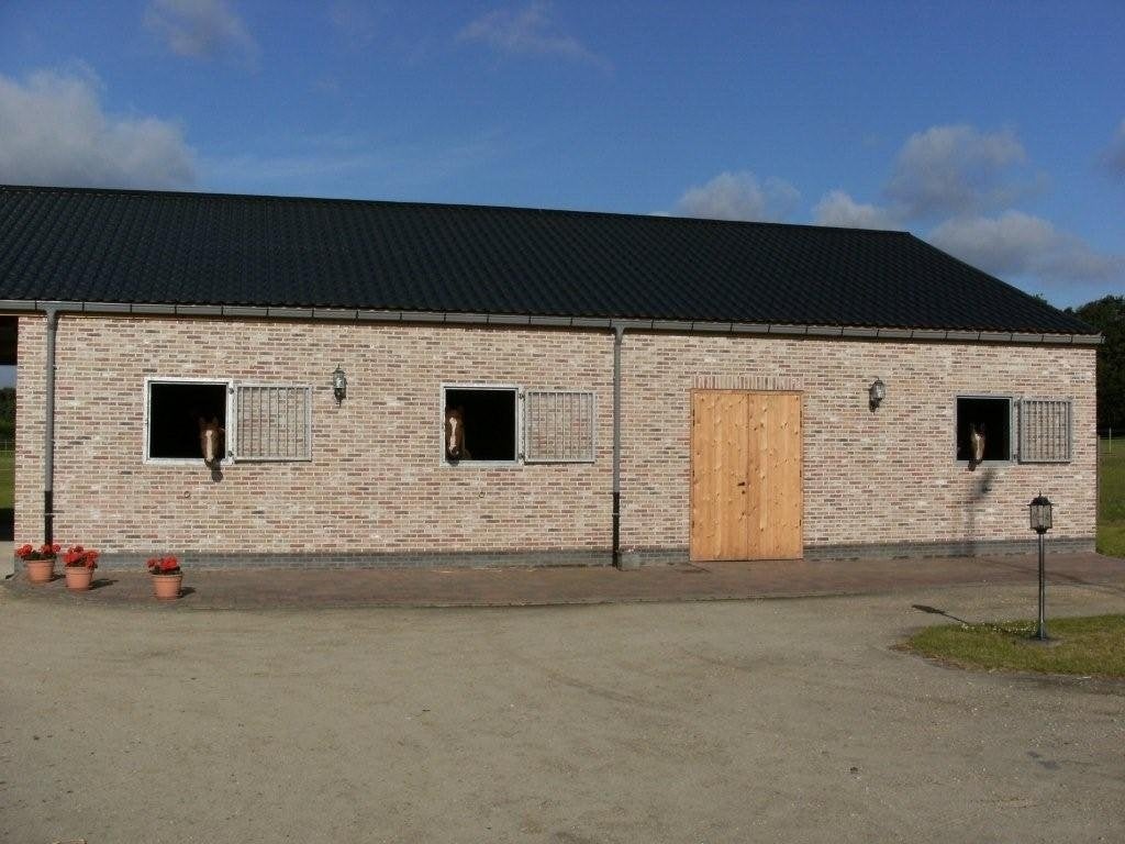 Kleine privé stal met weidegang te Herenthout, Mise à l'étable, 1 cheval ou poney