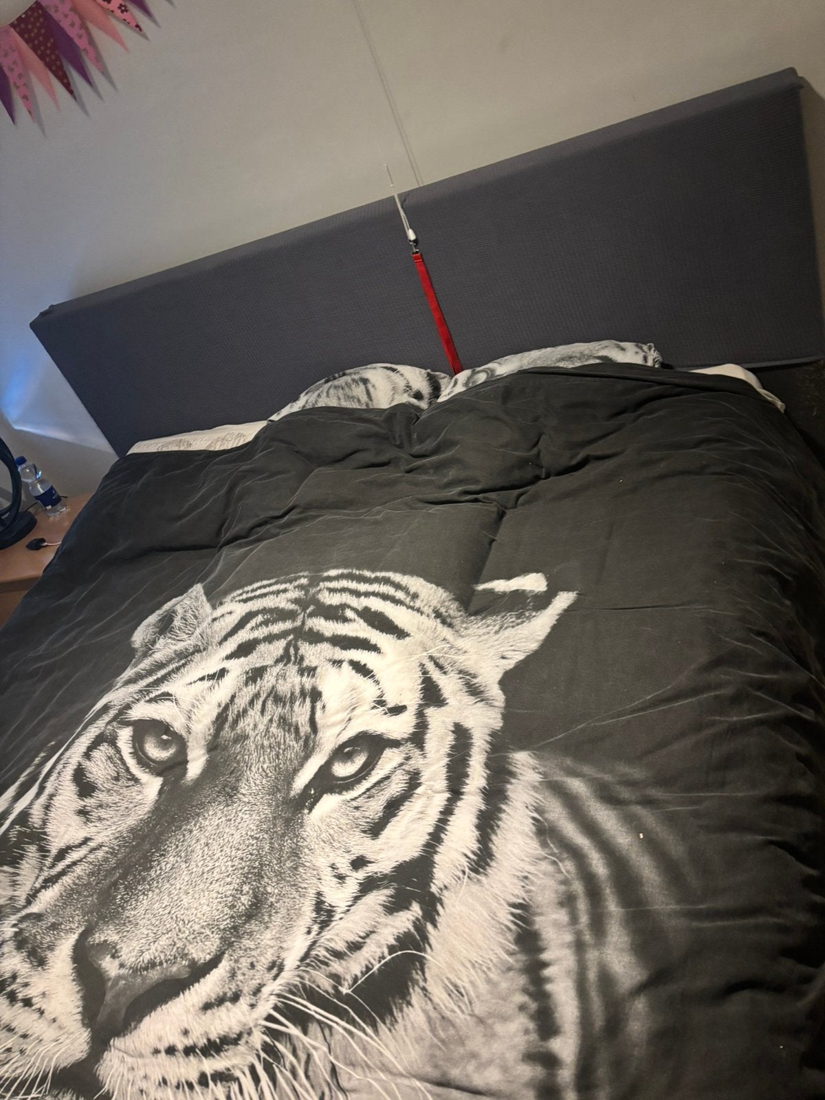 Boxspring, Ophalen, Gebruikt