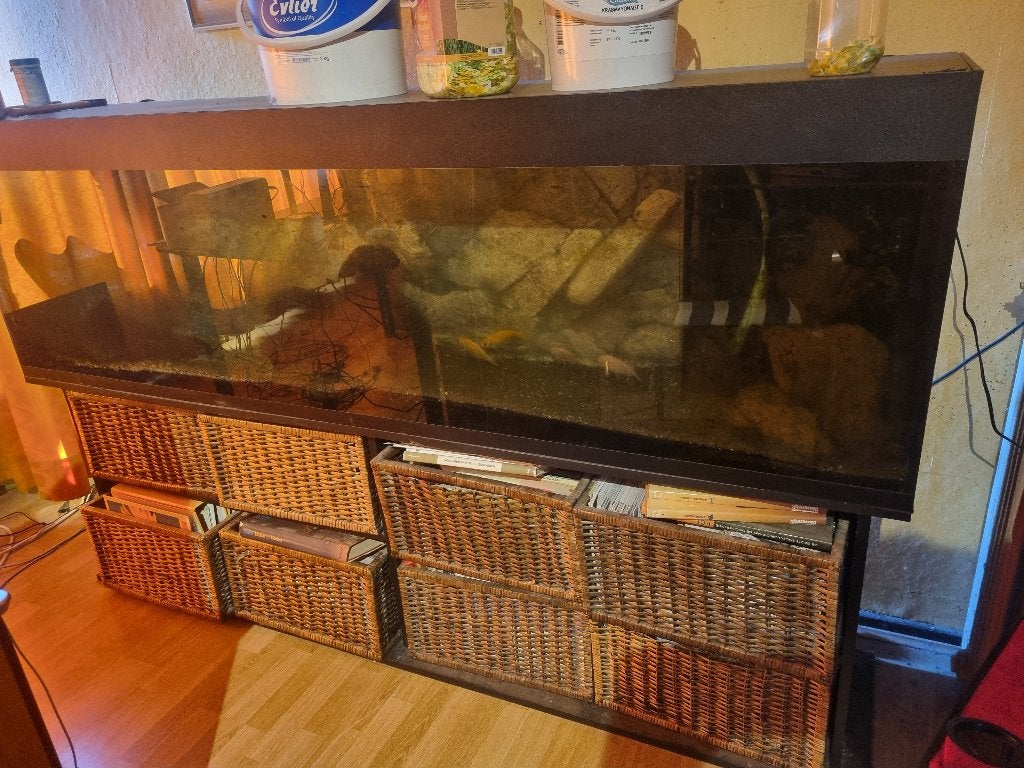 Aquarium 400 liter + onderkast, Enlèvement, Couvercle inclus, Utilisé, Aquarium vide