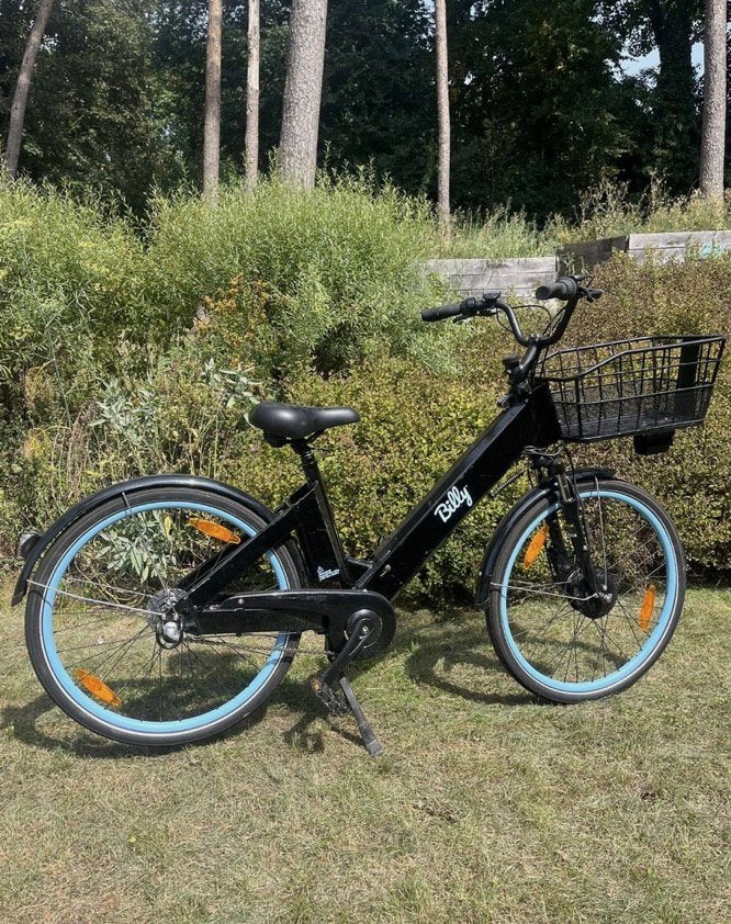 E-bike, Fietsen en Brommers, Ophalen of Verzenden, Zo goed als nieuw