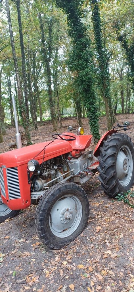 Traktor massey ferguson tef20 diesel, Ophalen, Massey Ferguson