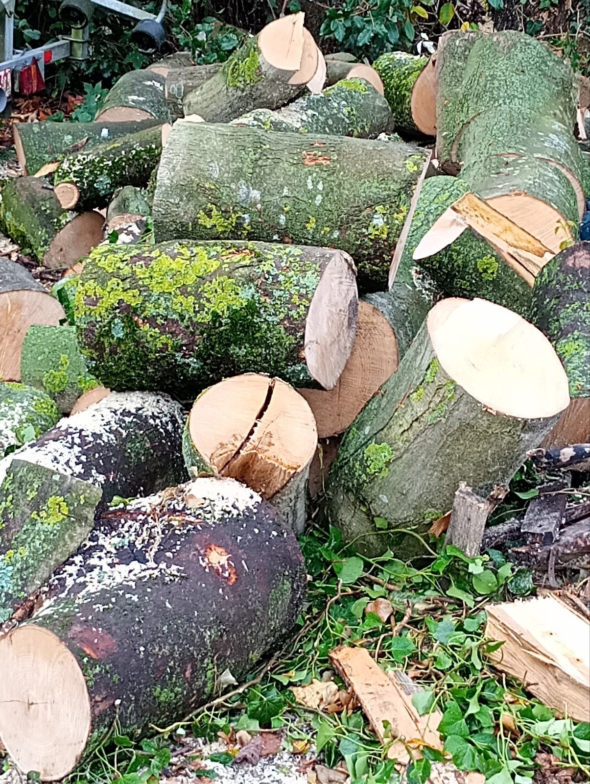 Bois de chauffage - frêne et érable - 8 m3, Enlèvement, Frêne