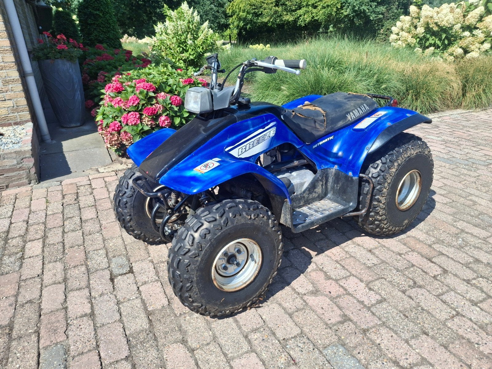 quad, Motoren