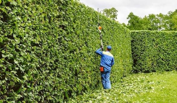 Tuinman, Tuin en Terras, Ophalen
