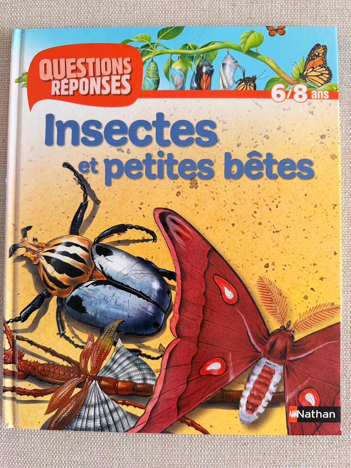Livre Insectes et petites betes 6-8 ans, Ophalen of Verzenden, Zo goed als nieuw