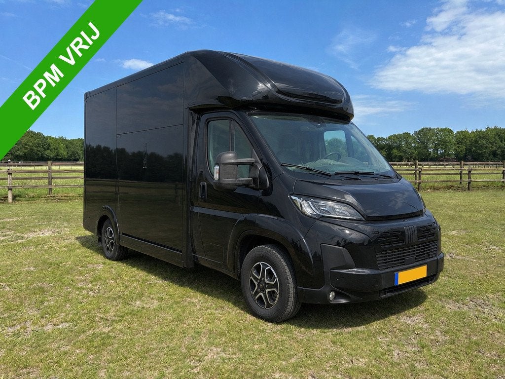Fiat Ducato 3.65T C1-Rijbewijs 2-paards paardenvrachtwagen A, Info@hulshof-trading.nl, Utilisé, Harskamperweg 60
3774JR  KOOTWIJKERBROEK, NL