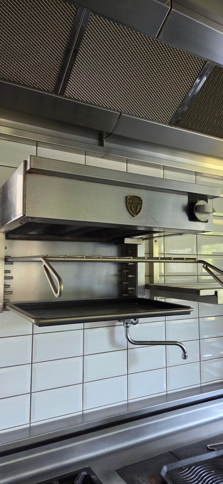 Salamandre charvet, Articles professionnels