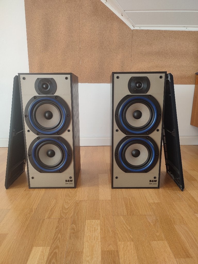 B&W DM220 luidsprekers, 60 à 120 watts, Enlèvement, Utilisé, Bowers & Wilkins (B&W)