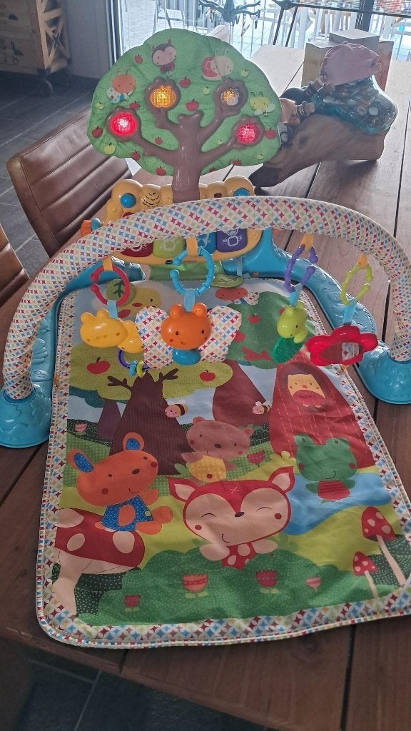 Speelmat - Babygym, Kinderen en Baby's, Ophalen of Verzenden, Gebruikt, Babygym, Met licht
