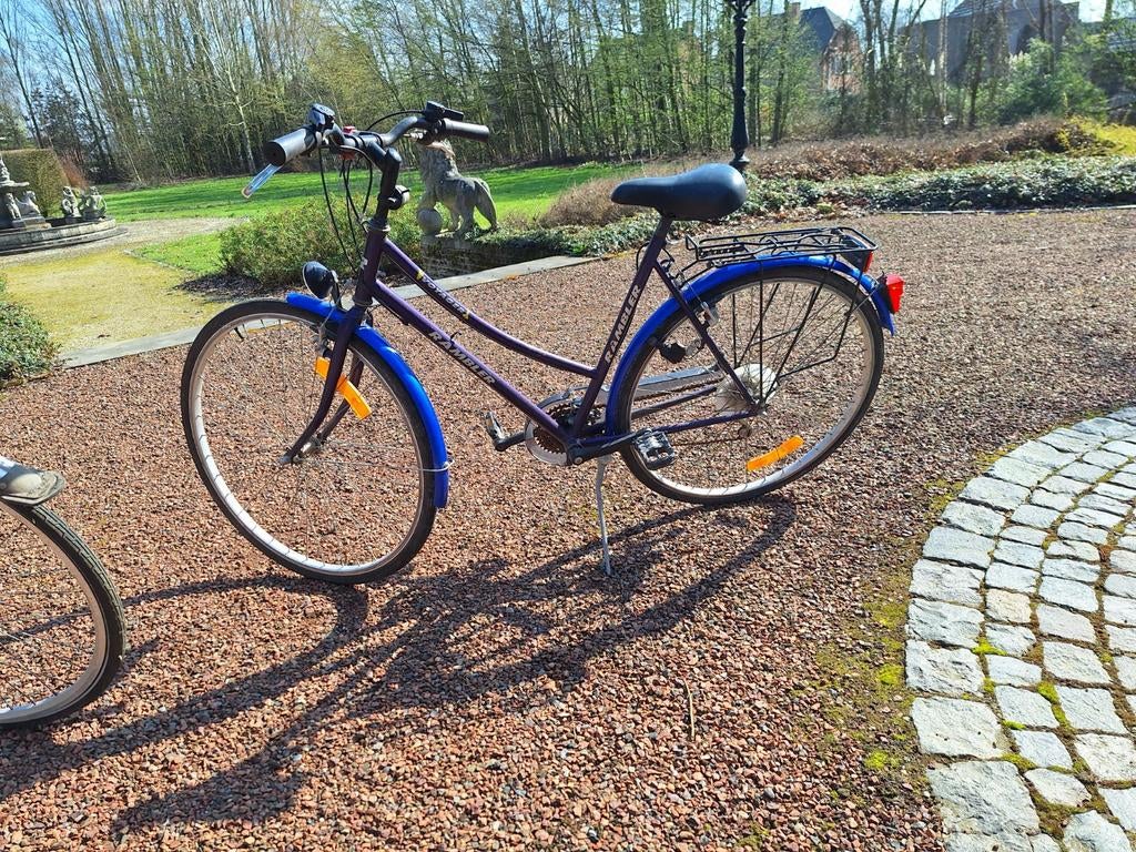 Dames fiets, Fietsen en Brommers, Ophalen