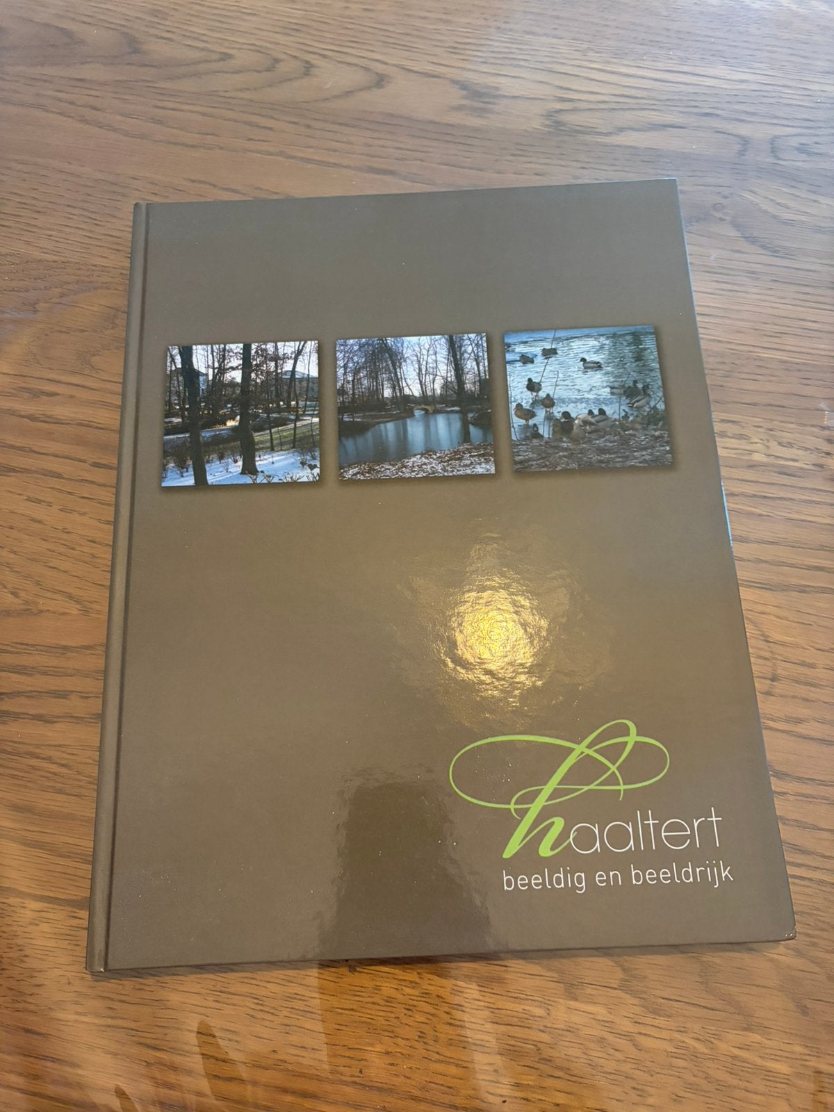 Boek Haaltert, Ophalen of Verzenden, Zo goed als nieuw