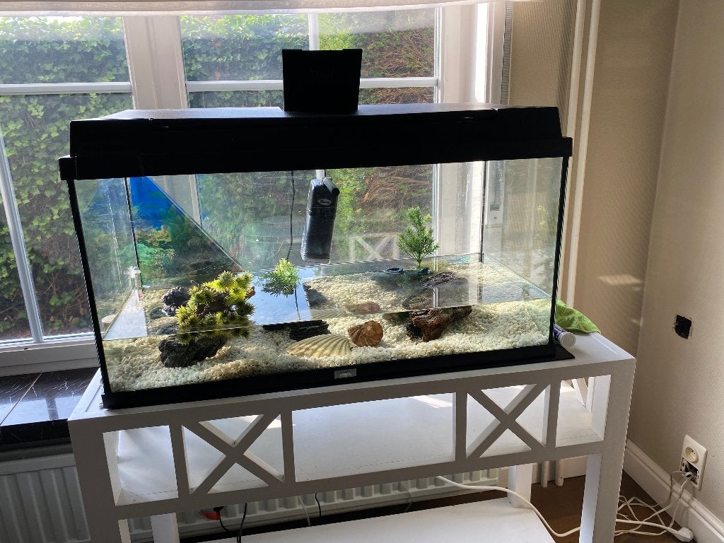 Aquarium Juwel, Ophalen, Decoratie, Gebruikt, Inclusief deksel