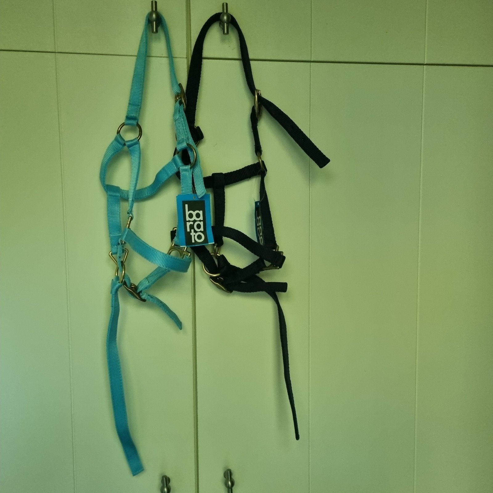 2 keer veulen halster nieuw, Ophalen, Blauw, Halster