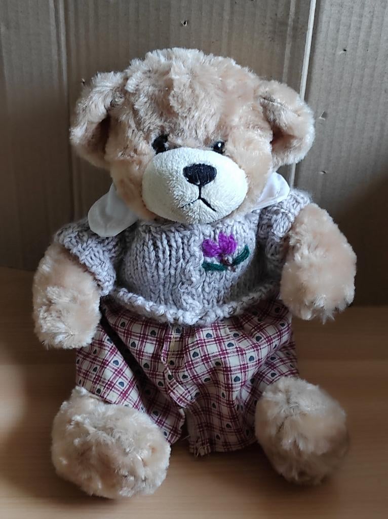 knuffel beer met trui, Ophalen of Verzenden, Zo goed als nieuw, Beer