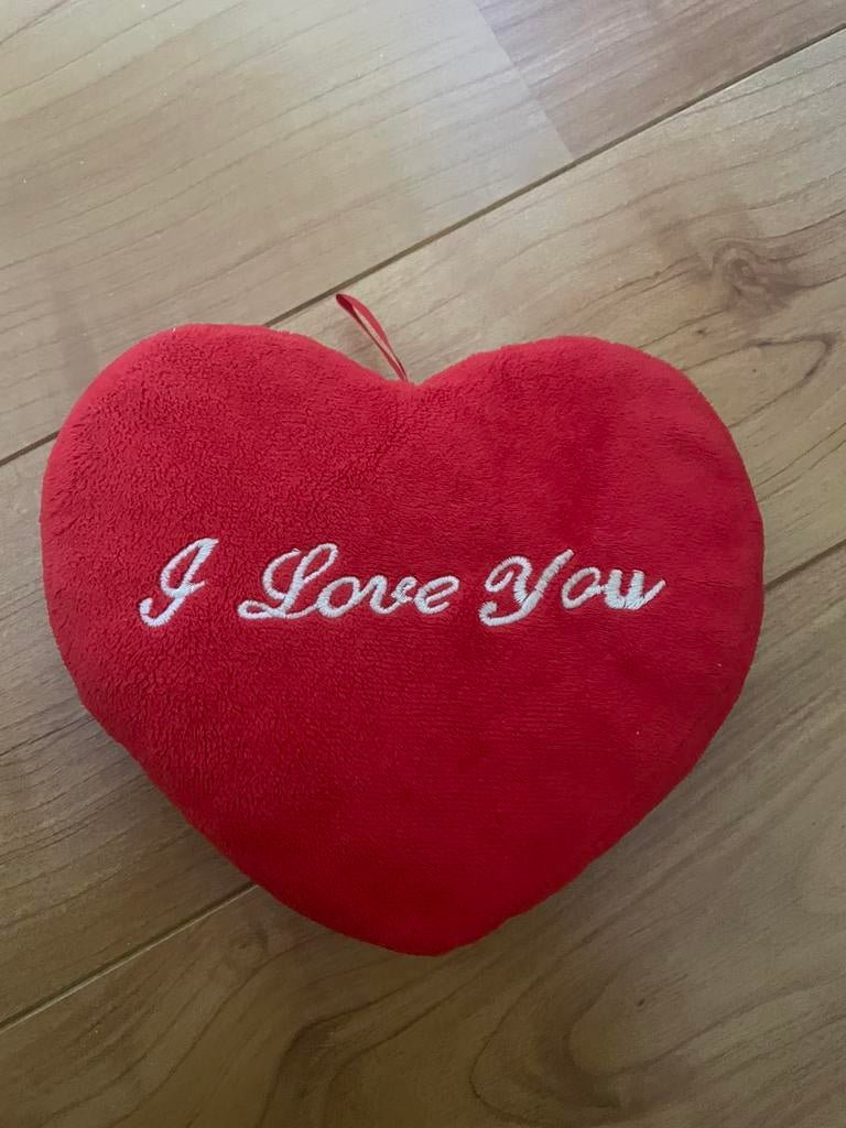 Rood kussen I Love You, Ophalen of Verzenden, Zo goed als nieuw