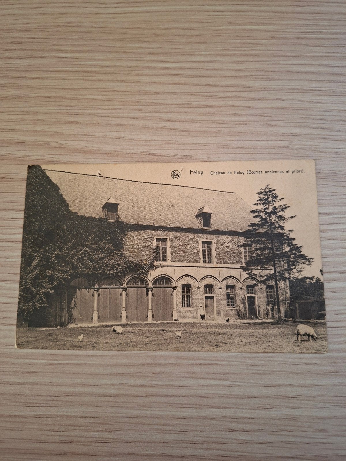 carte postale  feluy ( nivelles)., Enlèvement ou Envoi