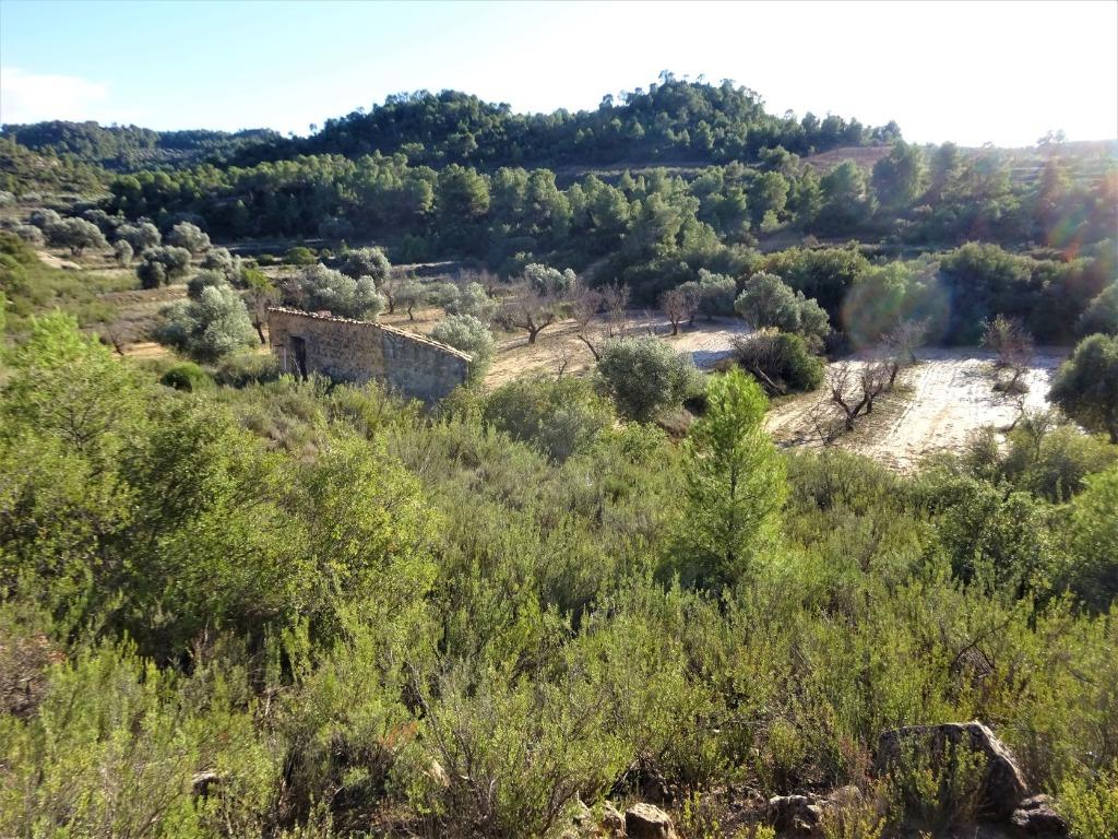 Finca à Maella (Aragon, Espagne) - 0823, Immo, Autres types, Espagne, Campagne