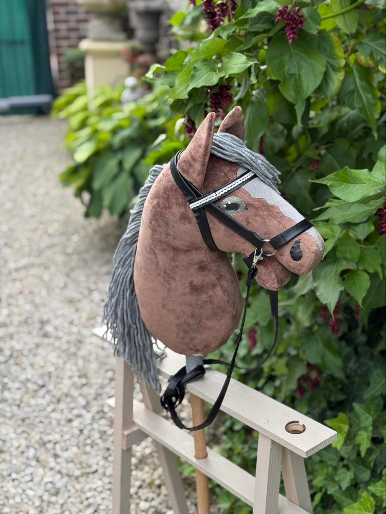 Hobby  Horse Gabber, Hobby en Vrije tijd, Ophalen