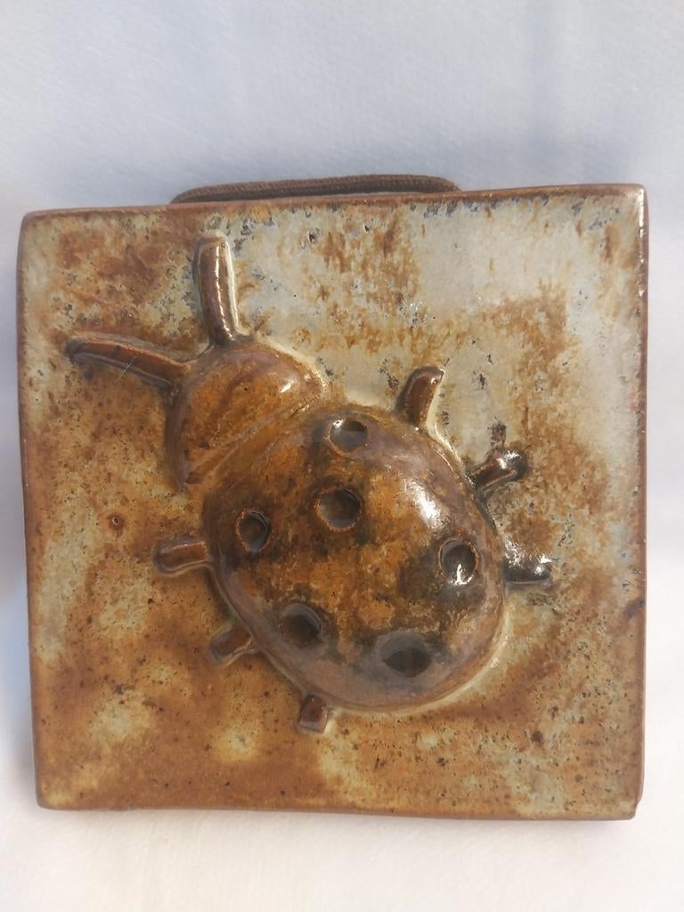 keramische tegels, Ophalen of Verzenden