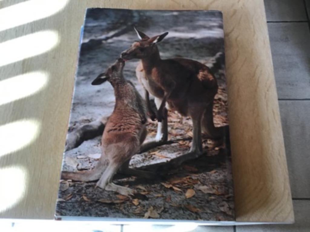 Australië; boek, prachtige, uitzonderlijke natuur TOP, Boeken, Diverse auteurs, Zo goed als nieuw, Reisgids of -boek, Australië en Nieuw-Zeeland