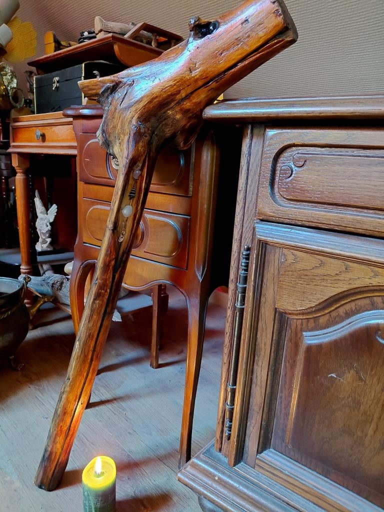 Uniek houten sculptuur – mythisch artefact / drakenkop, Antiek en Kunst, Ophalen, Handgemaakt, Hout