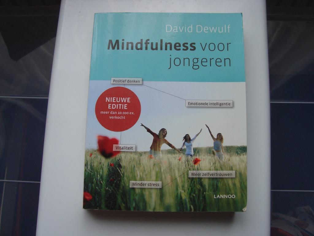 Mindfulness voor jongeren, Boeken, Psychologie, Ophalen of Verzenden, Gelezen, David Dewulf