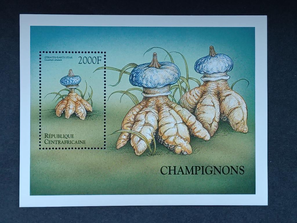 Postzegels Rep.Centrafricain - Paddestoelen, Postzegels en Munten, Ophalen of Verzenden, Overige landen, Postfris