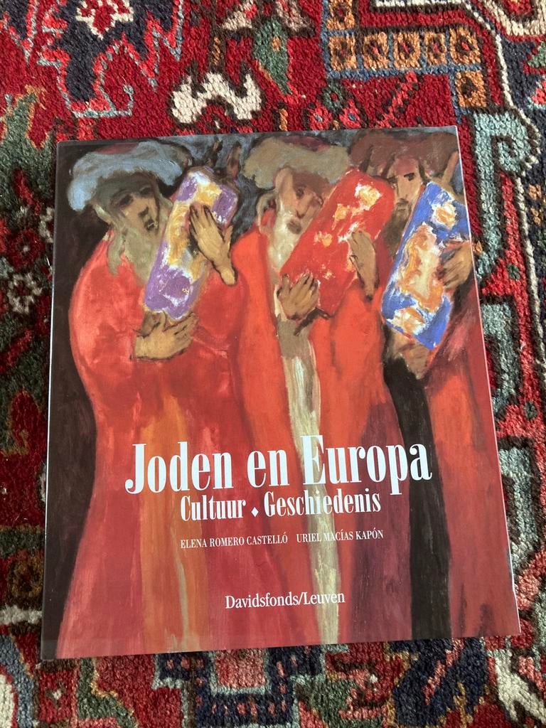 E.R. Castello - Joden en Europa, Boeken, Godsdienst en Theologie, Zo goed als nieuw, Jodendom, Ophalen of Verzenden
