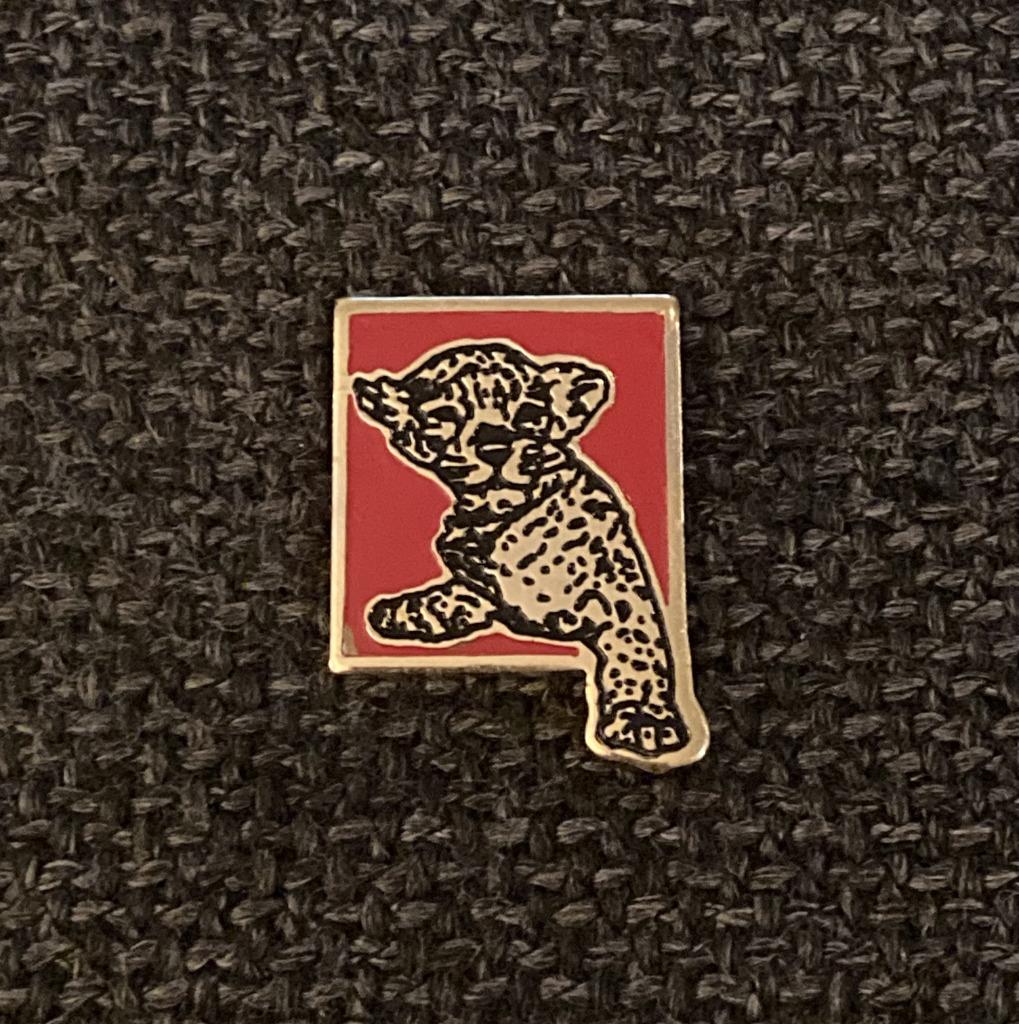 PIN - LUIPAARD - LEOPARD, Envoi, Utilisé, Animal et Nature, Insigne ou Pin's