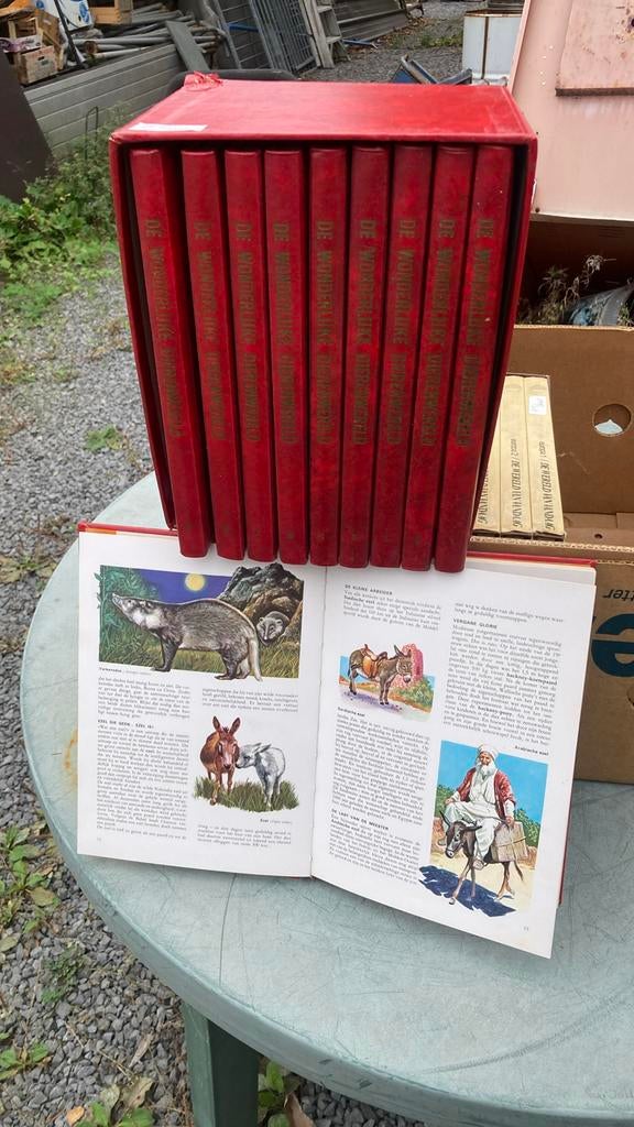 10 boeken over de wonderlijke dierenwereld, Boeken, Ophalen, Complete serie, Maurice Burton, Zo goed als nieuw