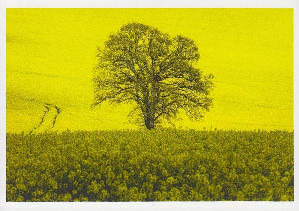 2017 - Card - Gent: Michiel Hendryckx, Verzamelen, Postkaarten | België, Verzenden, 1980 tot heden, Ongelopen, Oost-Vlaanderen