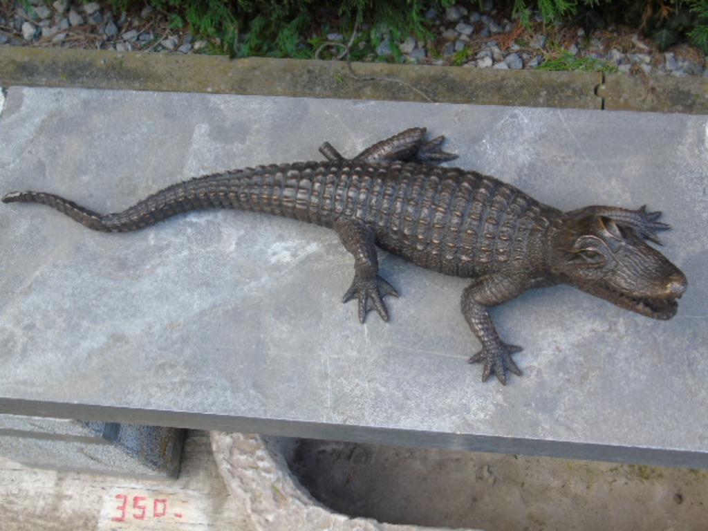 bronzen krokodil- of alligatorbeeld, waterstraal, Ophalen, Gietijzer, Fontein