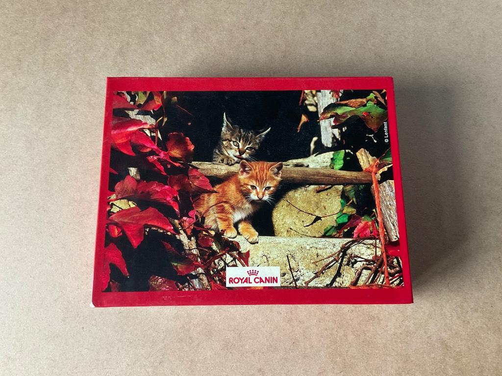 Puzzel poesjes - 1000 stukjes, Ophalen of Verzenden, 500 t/m 1500 stukjes, Nieuw, Legpuzzel