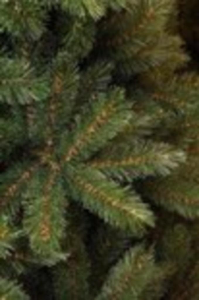 Triumph Tree Forest Frosted Blauw, Diversen, Ophalen, Nieuw