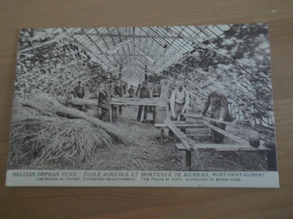 Mont-Saint-Guibert school agricole et horticole de Bierbais, Collections, Enlèvement ou Envoi, Non affranchie, Brabant Wallon