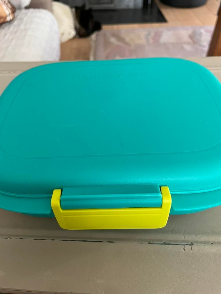 Boîte à lunch écologique, Enlèvement ou Envoi, Neuf