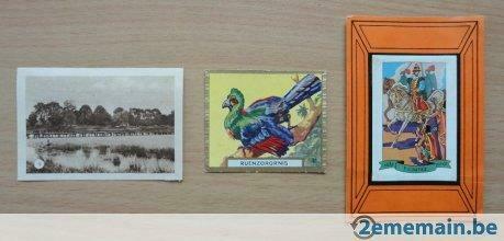 3 zeldzame chromo's jaren 1940-50 Cida Albert Windelinckx, Ophalen of Verzenden, Gebruikt