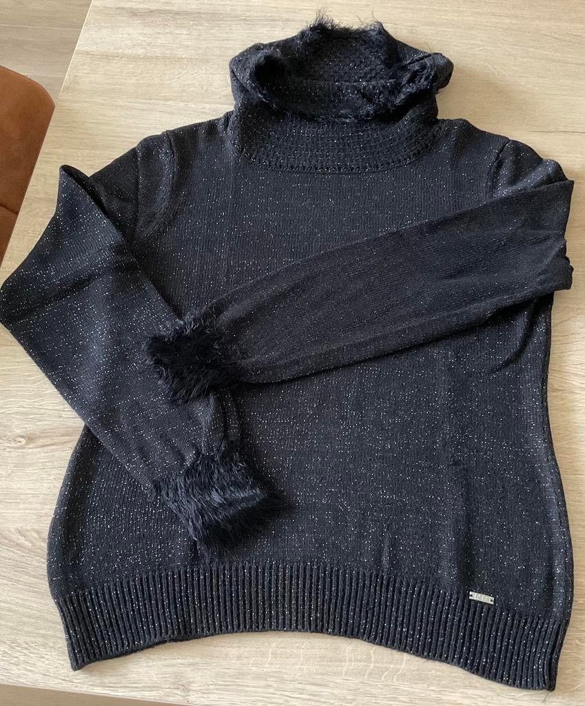 Zwarte winter trui met rolkraag PTC L, Zwart, Maat 42/44 (L), Ophalen of Verzenden, Gedragen