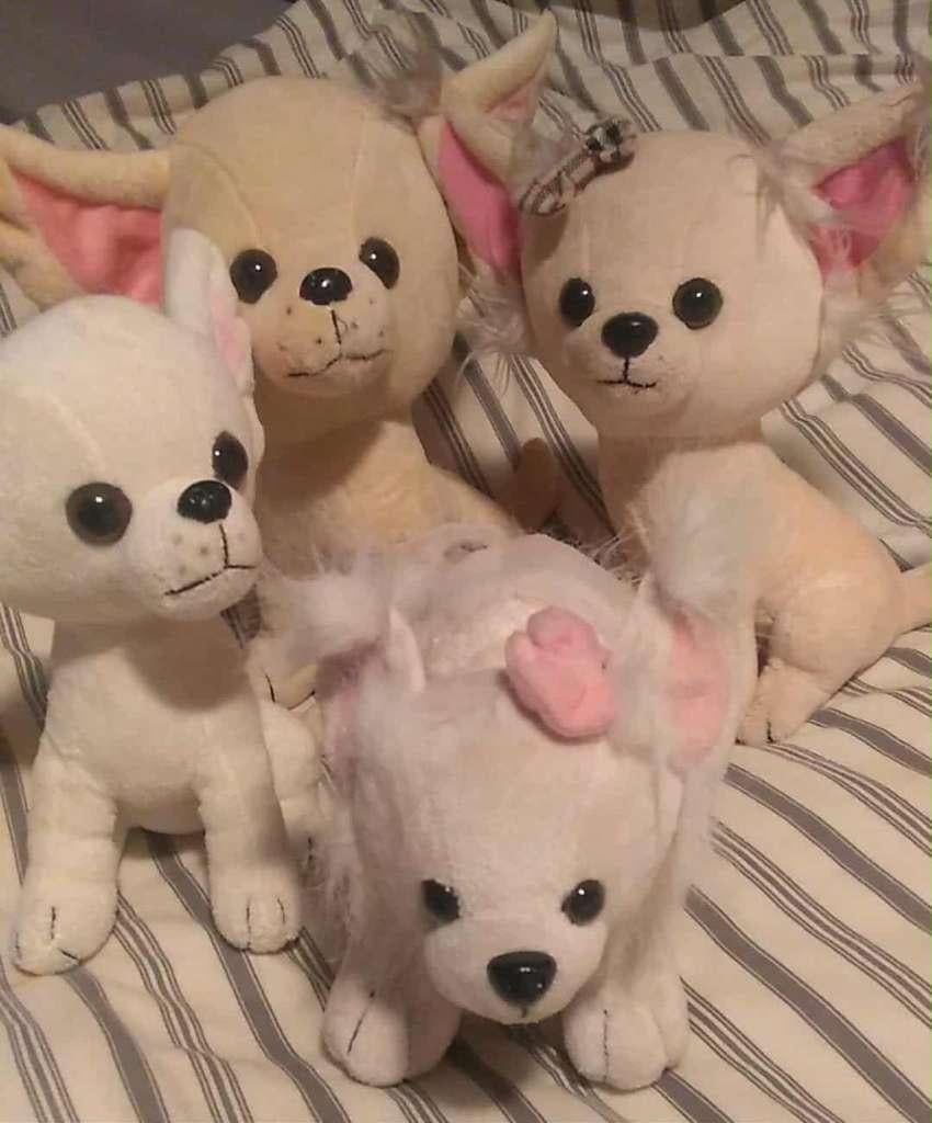 Chihuahua knuffels 4 stuks samen, Kinderen en Baby's, Ophalen of Verzenden