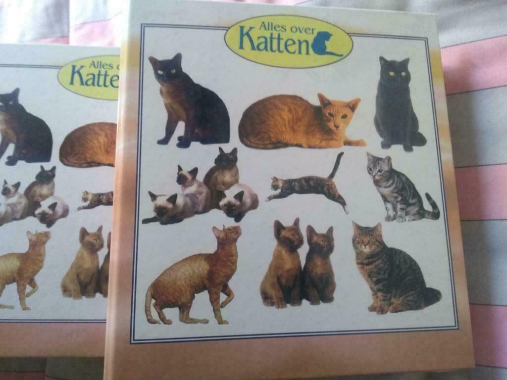 4 dikke Verzamelmappen  over Katten, Neuf, Enlèvement ou Envoi, Chats, Diverse auteurs