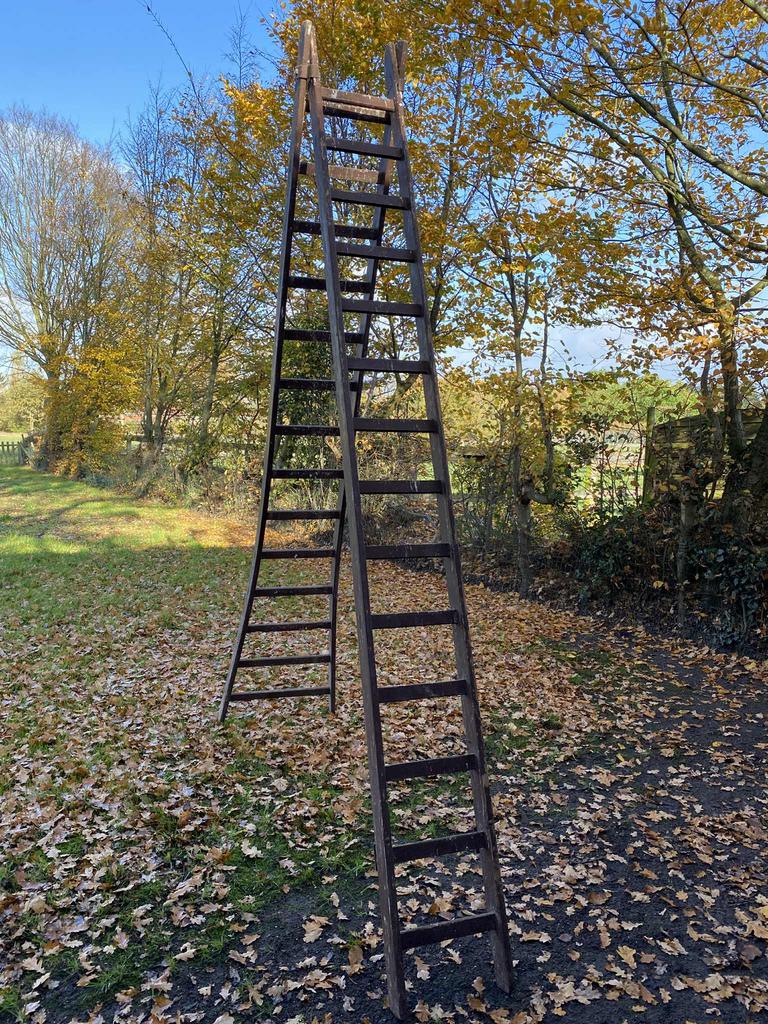Grote houten ladder, Ophalen, Gebruikt, Ladder, Opvouwbaar of Inschuifbaar