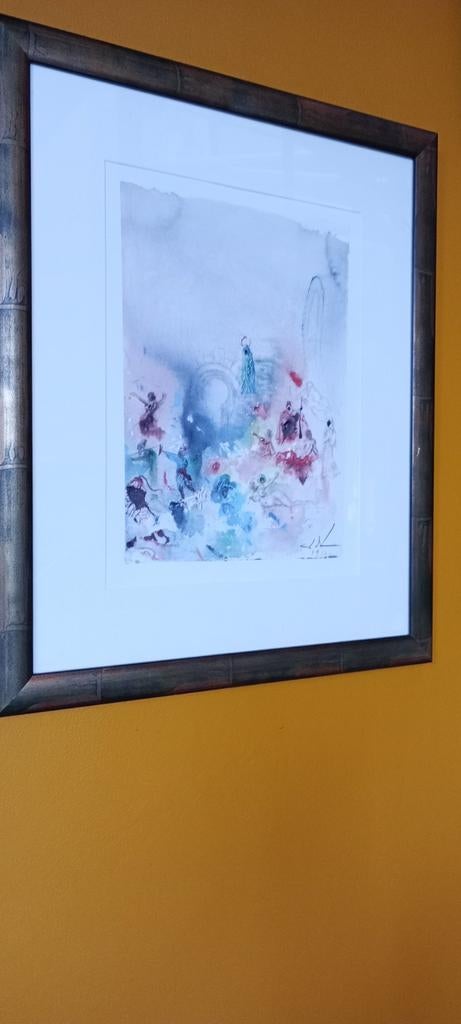 Dali Salvador- grafisch werk, Antiek en Kunst, Kunst | Litho's en Zeefdrukken, Ophalen of Verzenden