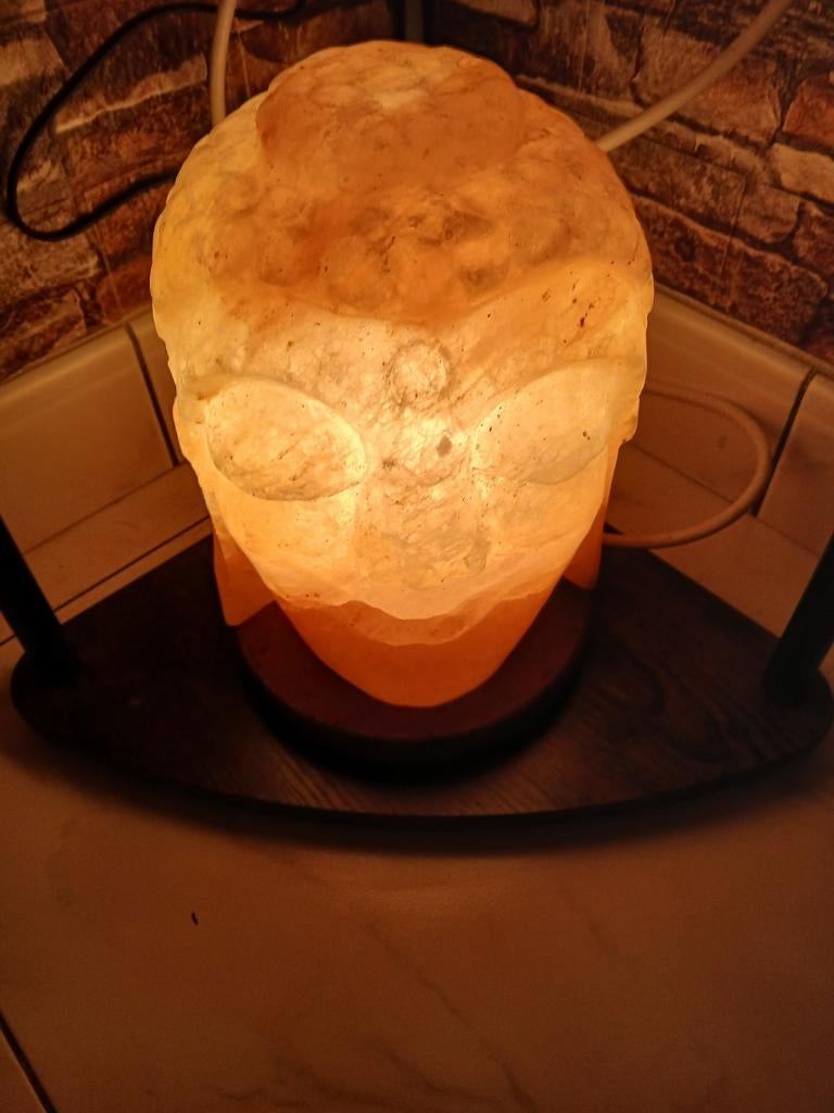 Mooie nieuwe zoutlamp BOEDHA HOOFD, Ophalen