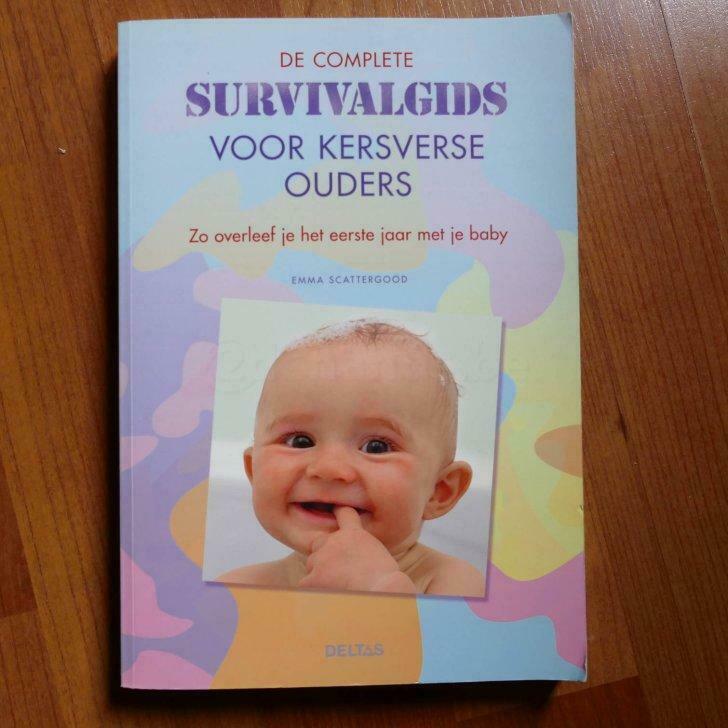 Emma Scattergood - Survivalgids voor kersverse ouders (2007), Livres, Grossesse & Éducation, Neuf, Envoi