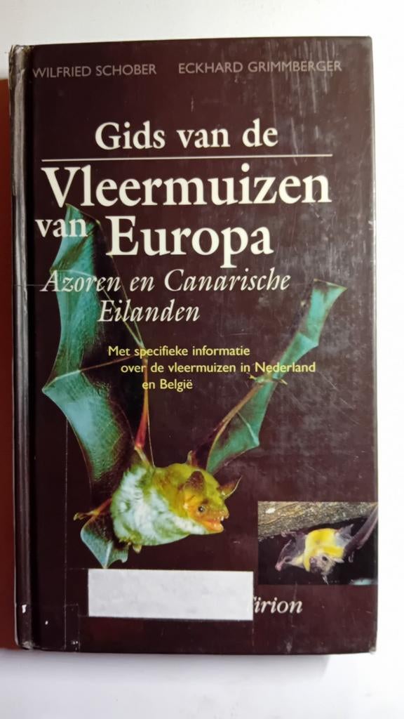 E. Grimmberger - Azoren en Canarische eilanden, Boeken, Ophalen of Verzenden, Zo goed als nieuw, E. Grimmberger; W. Schober