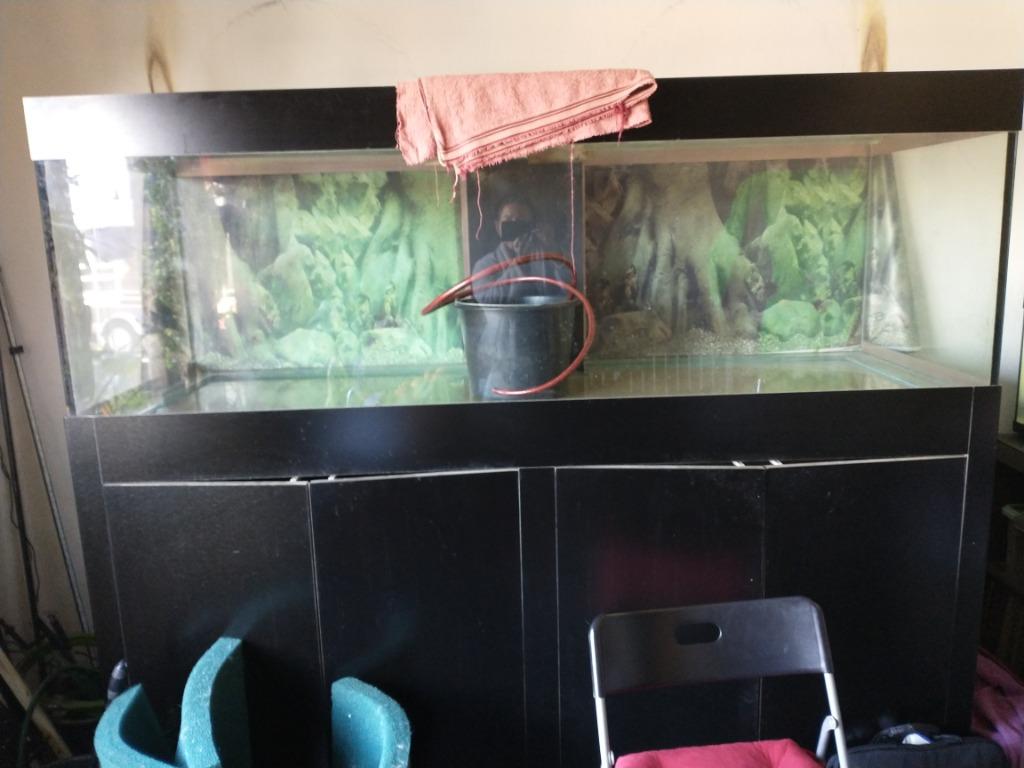 Prof.aqua. en toebehoren 1m77 H, 2 m L, 980 ltr, Dieren en Toebehoren, Ophalen, Pomp, Zo goed als nieuw, Leeg aquarium