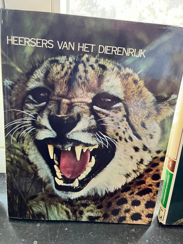 Encyclopedie Dierenwereld (10-delig), Ophalen of Verzenden, Gelezen