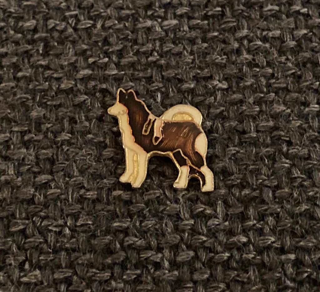 PIN - HOND - CHIEN - DOG, Verzenden, Gebruikt, Dier of Natuur, Speldje of Pin