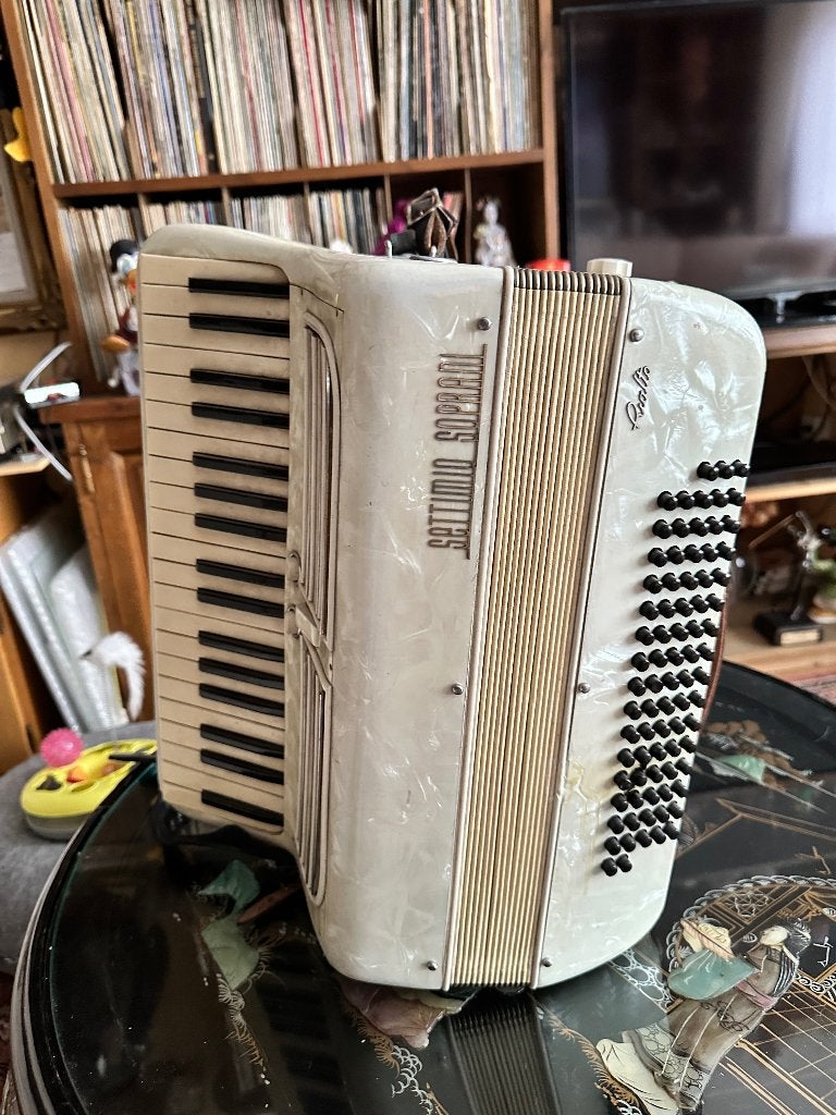 accordion, Musique & Instruments, Autres marques, Utilisé, Accordéon à touches, Enlèvement